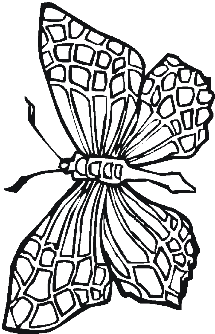 Stained Glass Coloring pages Butterfly