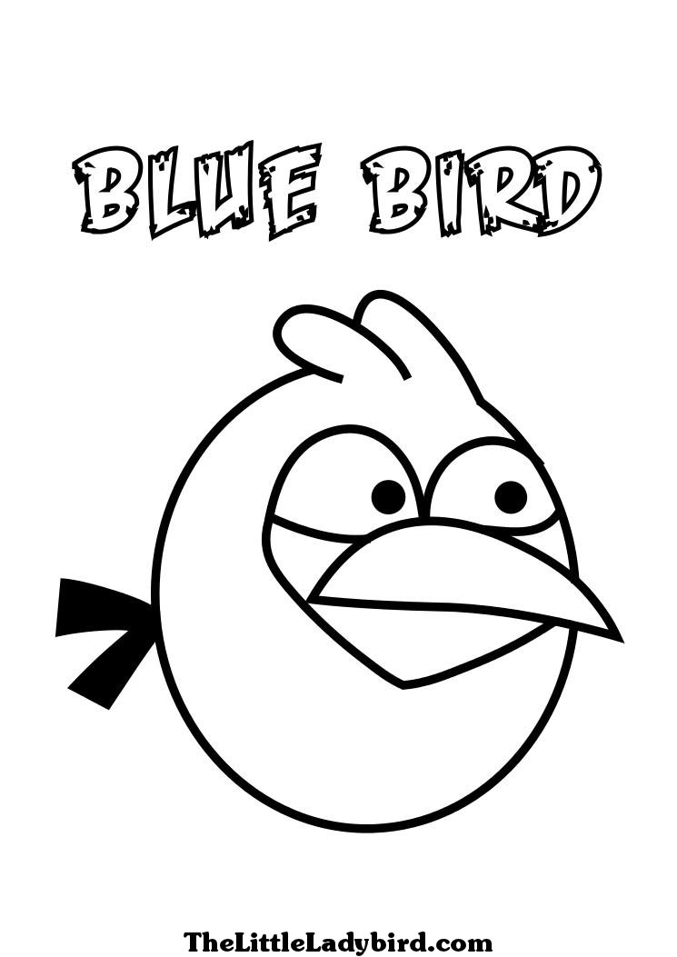  Young Angry Birds Coloring pages