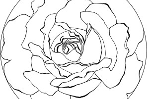 Mandala Coloring pages | FREE coloring pages | #63