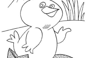 Spring Coloring Pages CHICK