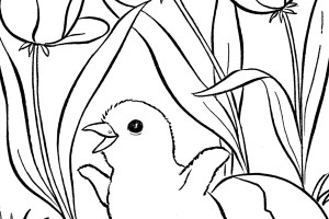 Spring Coloring Pages LITTLE CHICKEN