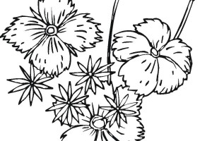 Spring Coloring Pages LITTLE FLOWERS