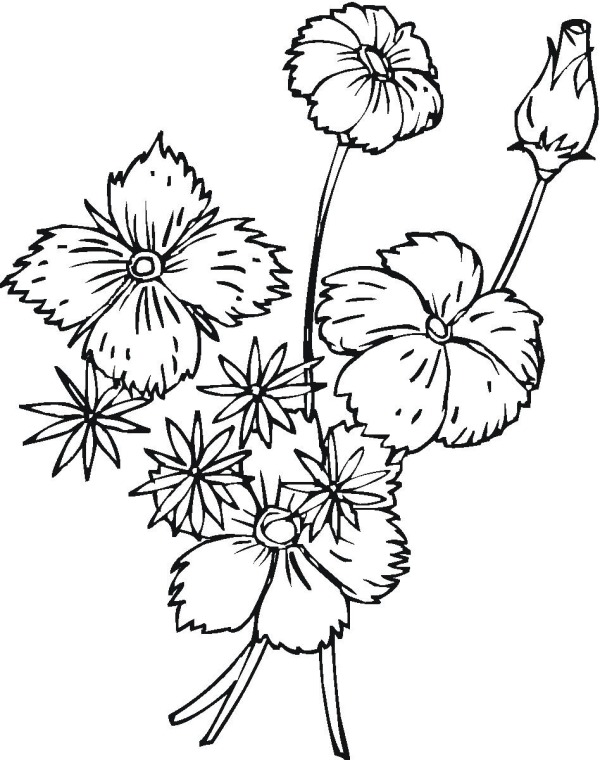  Spring Coloring Pages LITTLE FLOWERS