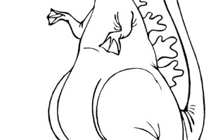 Tattoo Dragon Coloring Pages | Colouring pages | #41