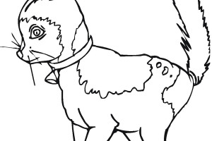 Cat coloring pages | #3