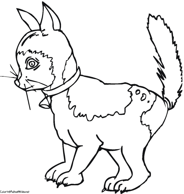  Cat coloring pages | #3