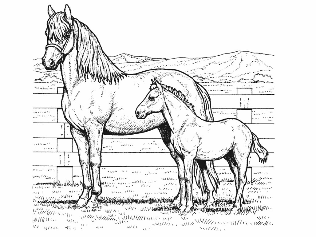  Horse coloring pages | FREE coloring pages | #1