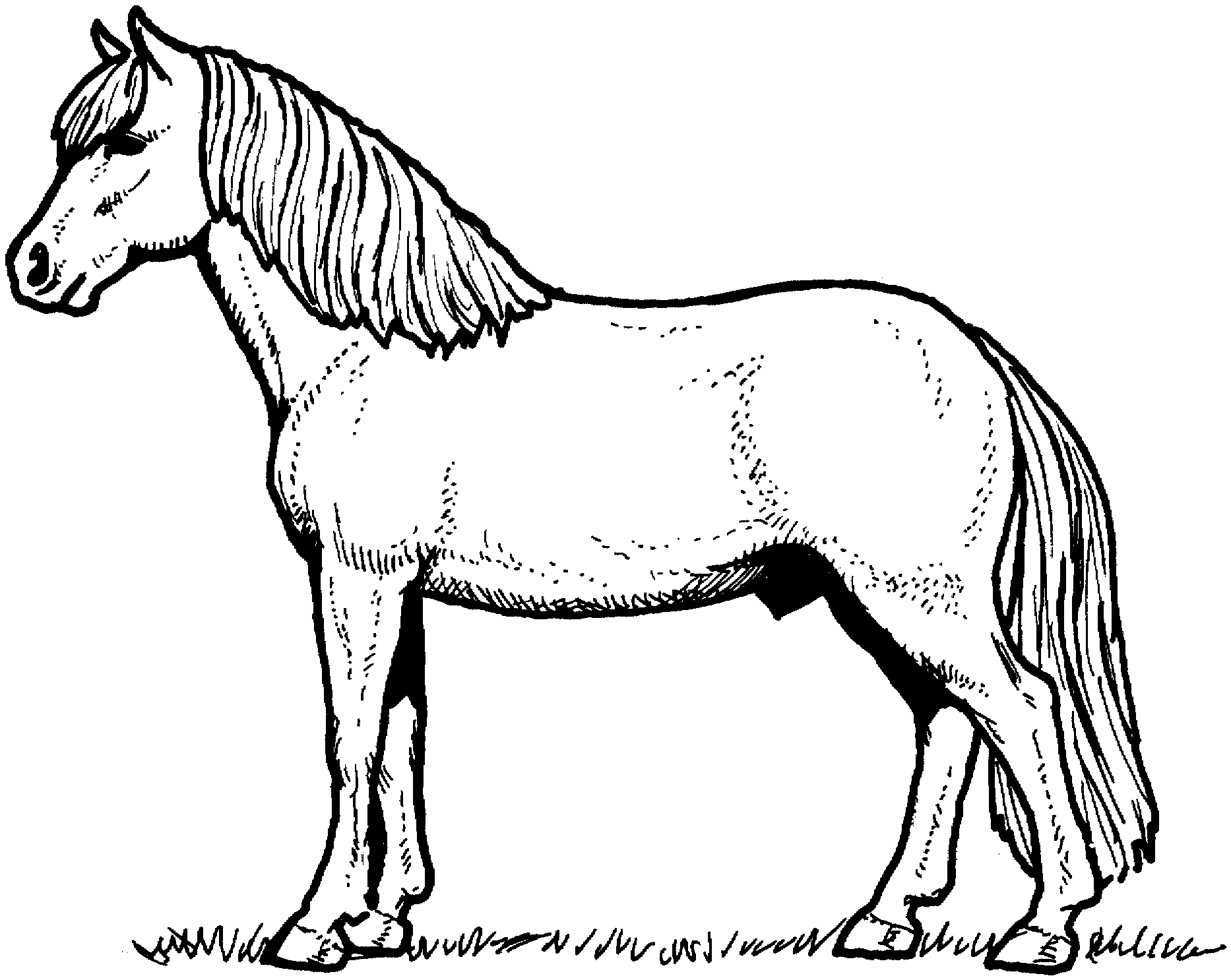 Horse coloring pages | FREE coloring pages | #11