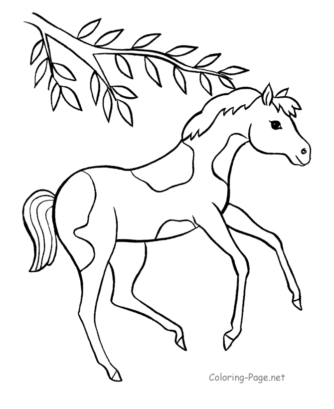 Horse coloring pages | FREE coloring pages | #12