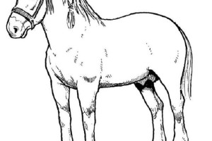 Horse coloring pages | FREE coloring pages | #13
