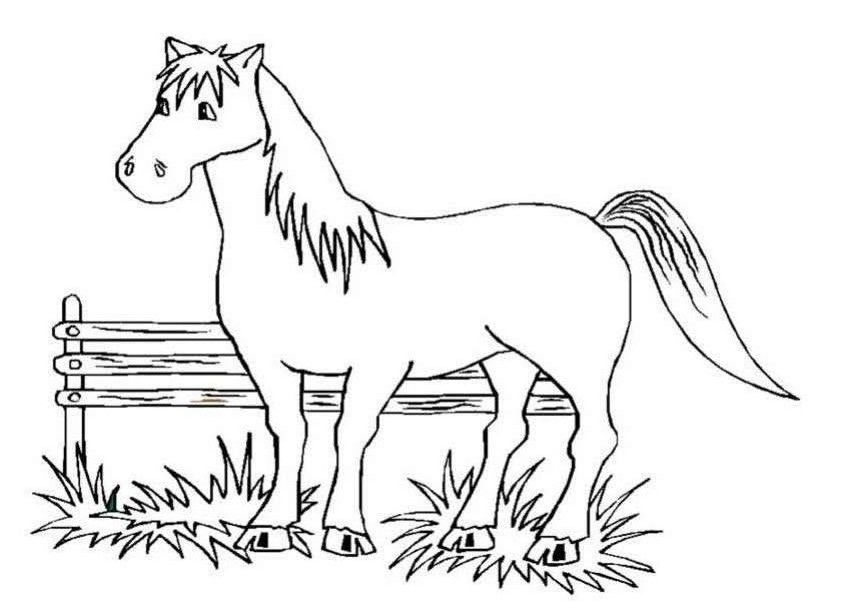  Horse coloring pages | FREE coloring pages | #16