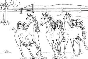 Horse coloring pages | FREE coloring pages | #19