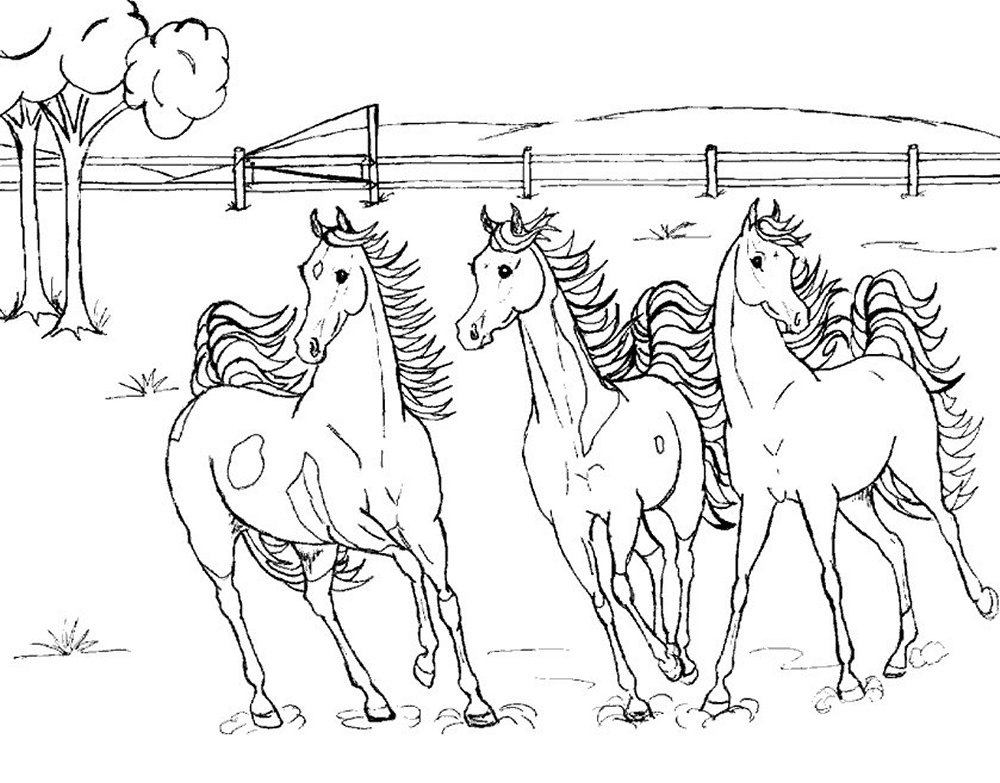  Horse coloring pages | FREE coloring pages | #19