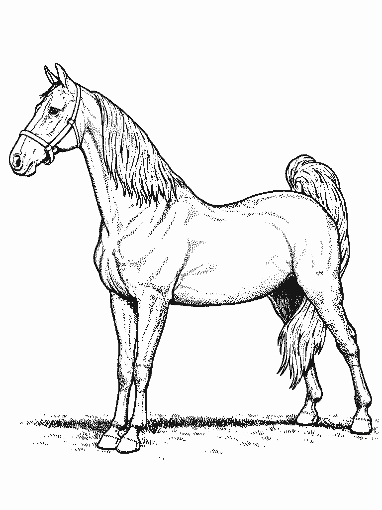 Horse coloring pages | FREE coloring pages | #21