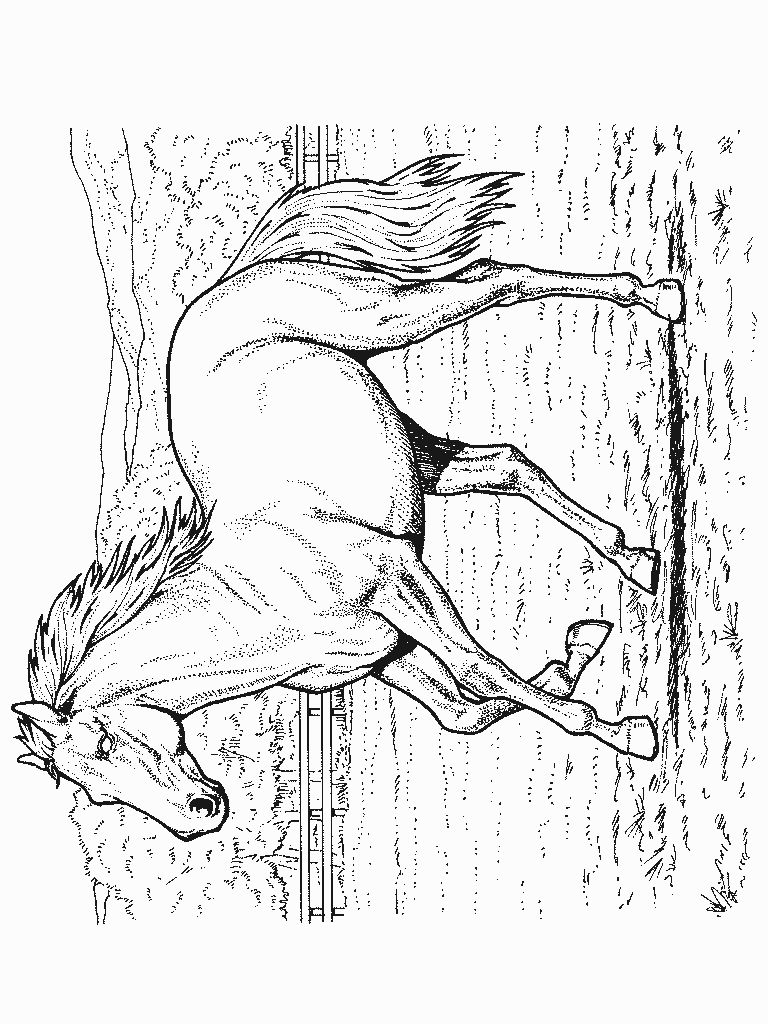 Horse coloring pages | FREE coloring pages | #24