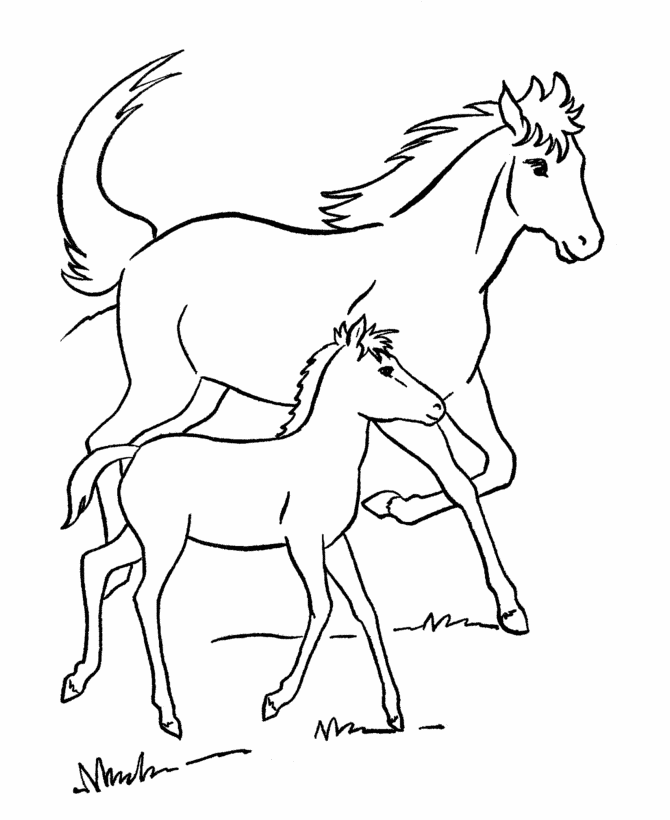 Horse coloring pages | FREE coloring pages | #26