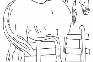 Horse coloring pages | FREE coloring pages | #30