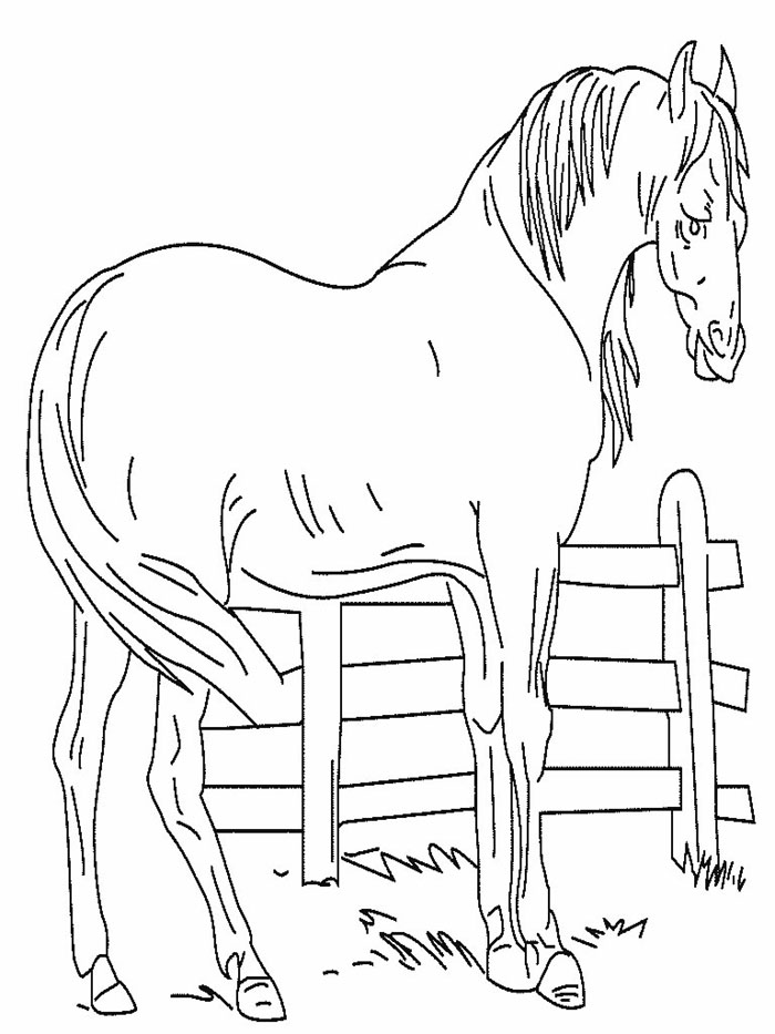  Horse coloring pages | FREE coloring pages | #30