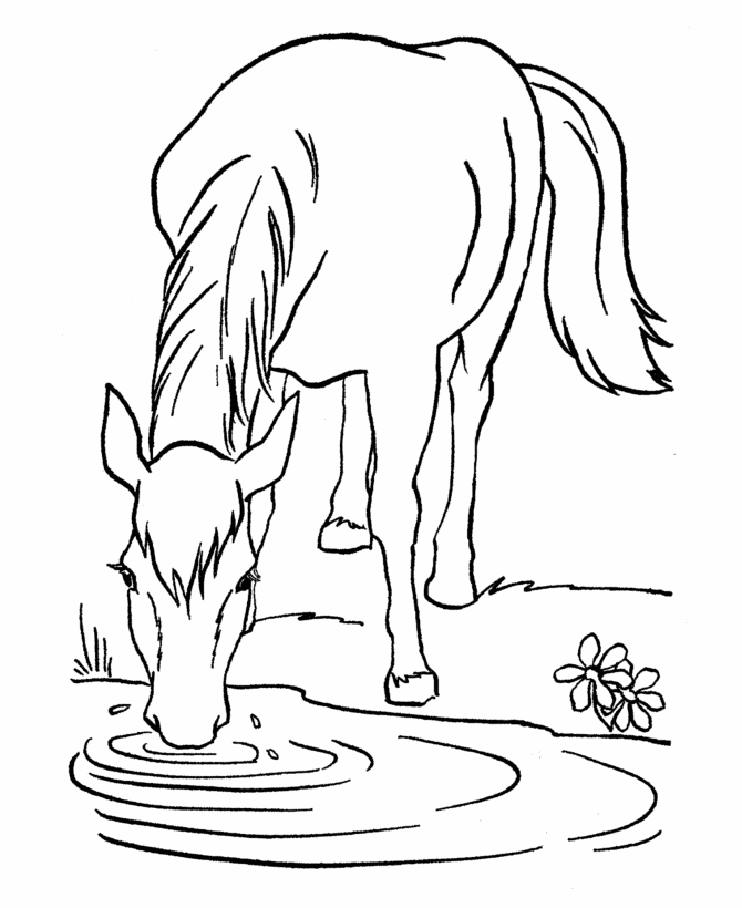 Horse coloring pages | FREE coloring pages | #31