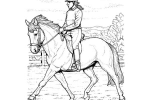 Horse coloring pages | FREE coloring pages | #32