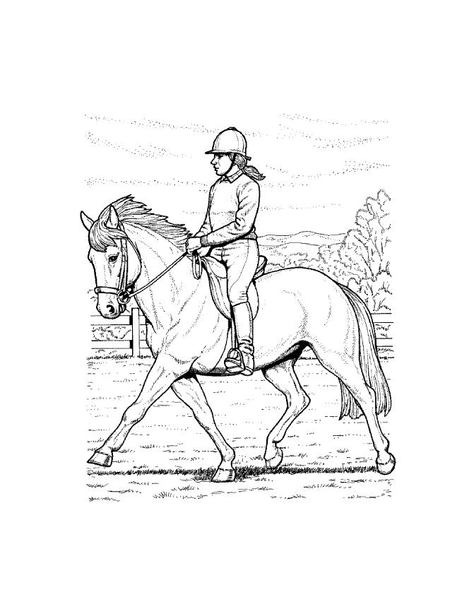  Horse coloring pages | FREE coloring pages | #32