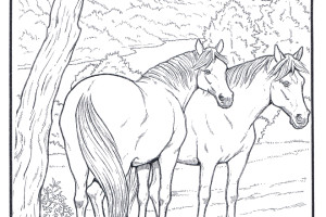 Horse coloring pages | FREE coloring pages | #33