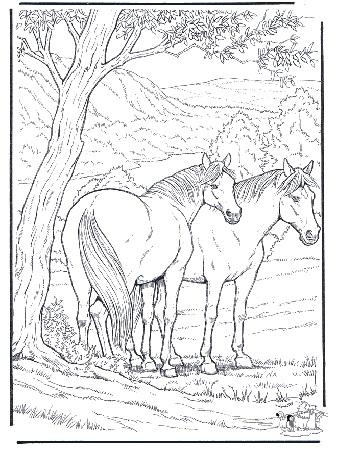  Horse coloring pages | FREE coloring pages | #33