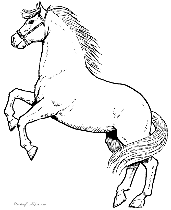 Horse coloring pages | FREE coloring pages | #35