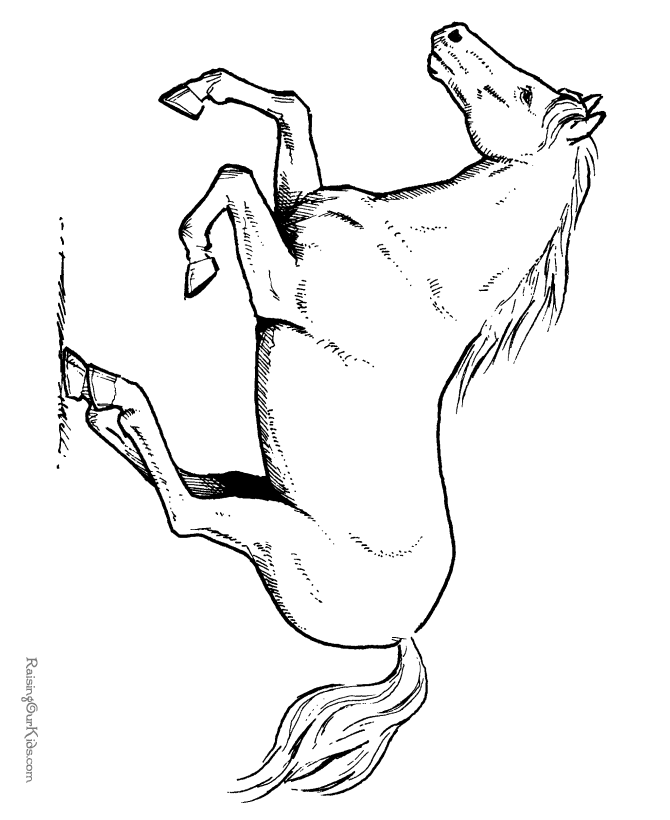 Horse coloring pages | FREE coloring pages | #37