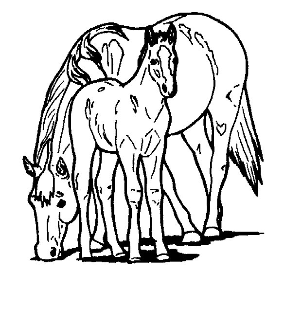 Horse coloring pages | FREE coloring pages | #4