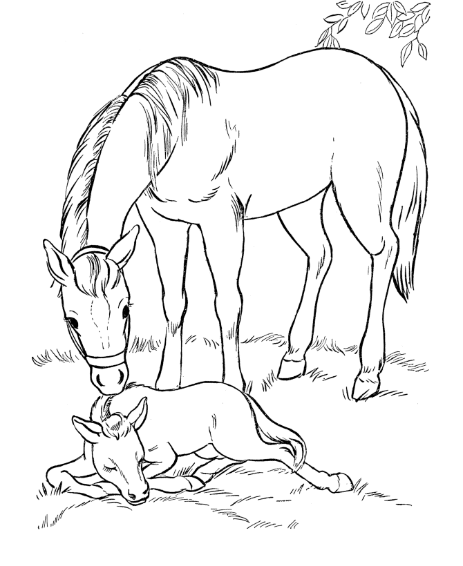 Horse coloring pages | FREE coloring pages | #5