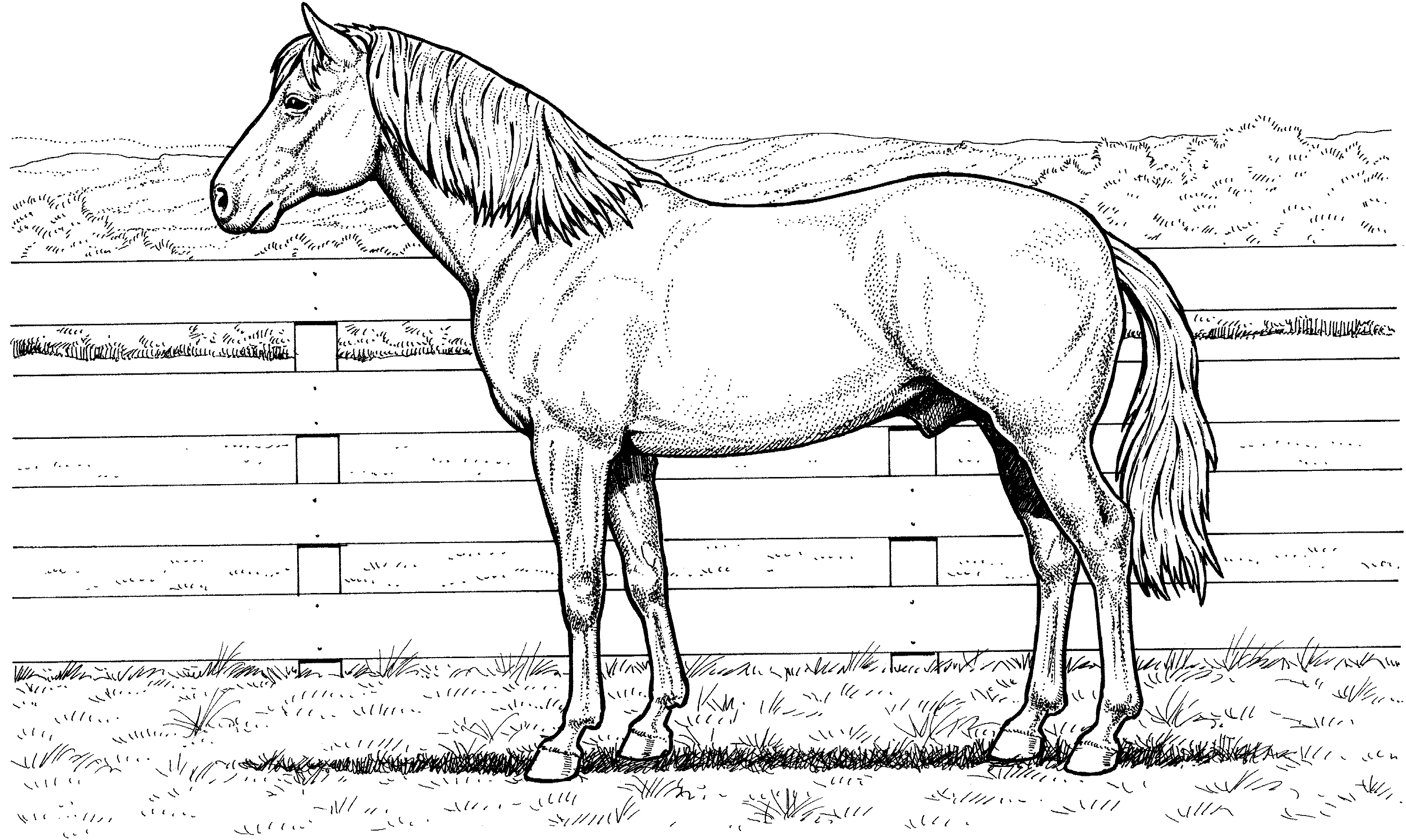 Horse coloring pages | FREE coloring pages | #6