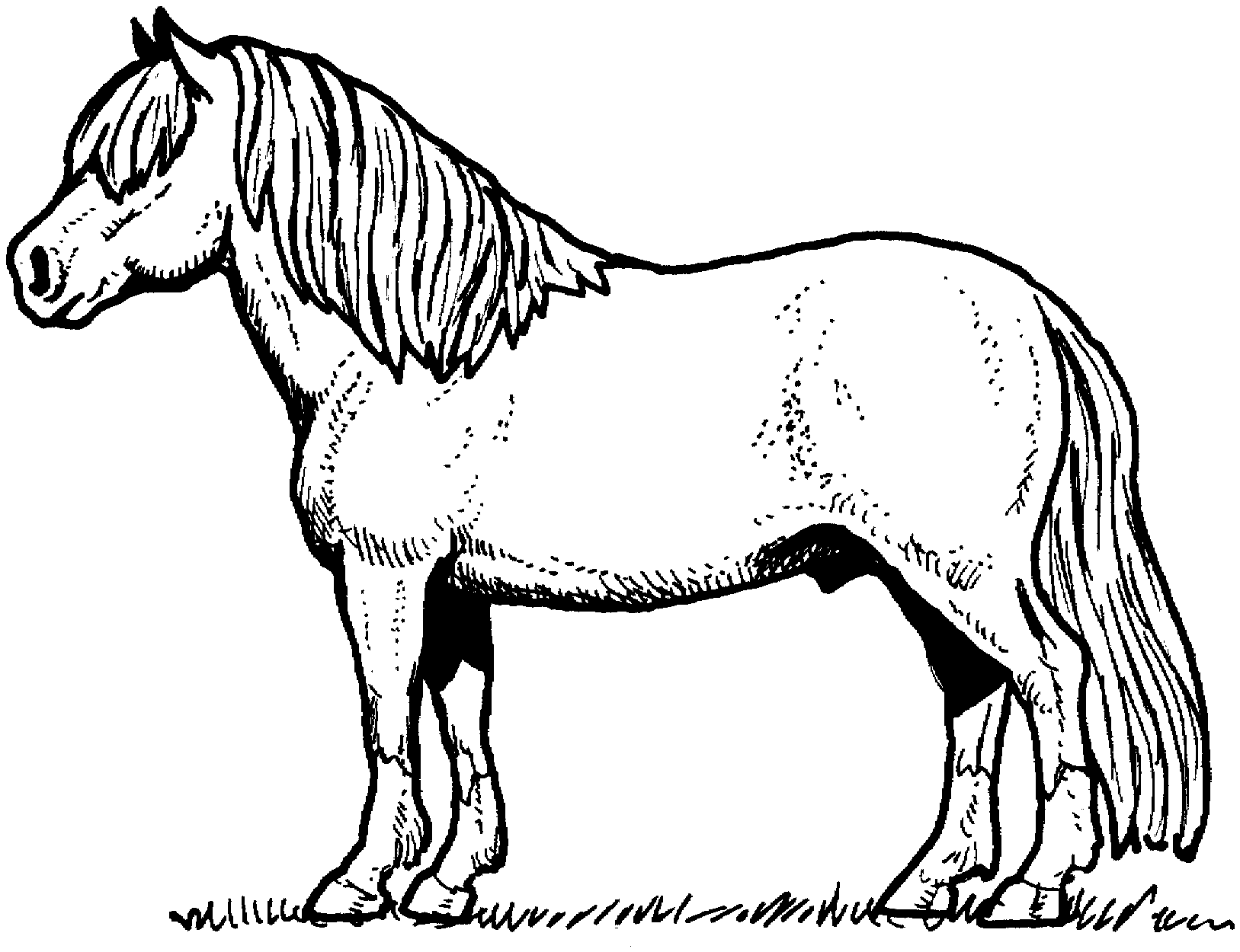 Horse coloring pages | FREE coloring pages | #7