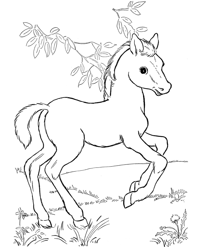Horse coloring pages | FREE coloring pages | #9