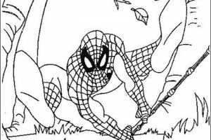 Spiderman Coloring pages | Kids coloring pages | Free coloring pages | #12