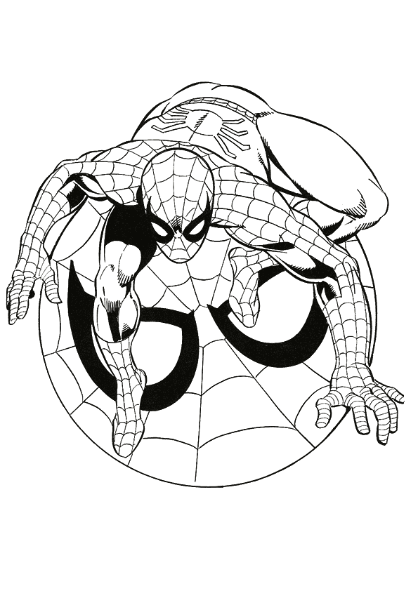 Spiderman Coloring pages | Kids coloring pages | Free coloring pages | #27