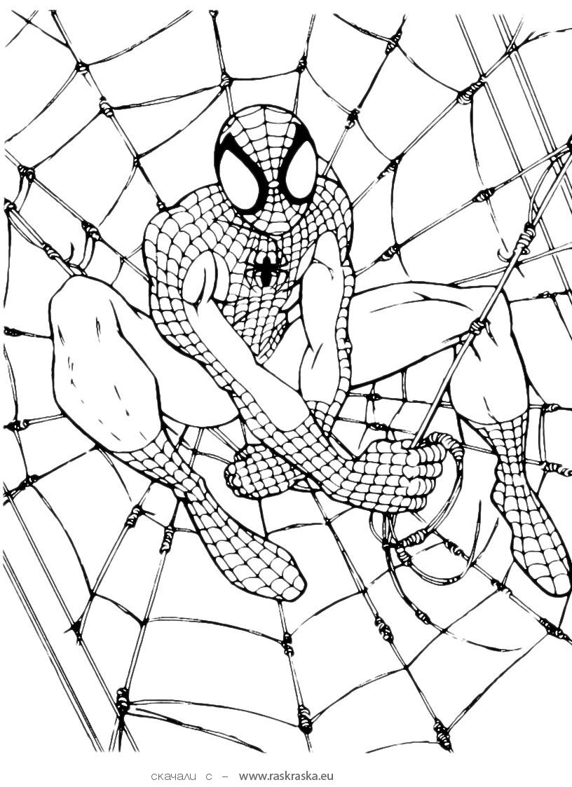  Spiderman Coloring pages | Kids coloring pages | Free coloring pages | #39