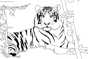 Tiger coloring pages | Animal coloring pages | #13