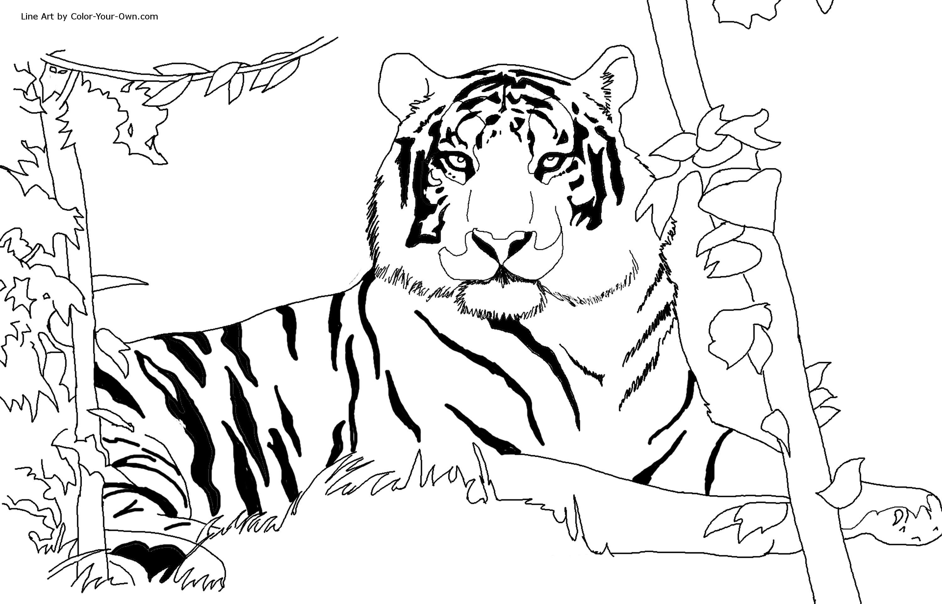  Tiger coloring pages | Animal coloring pages | #13