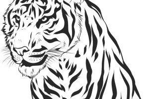 Tiger coloring pages | Animal coloring pages | #14