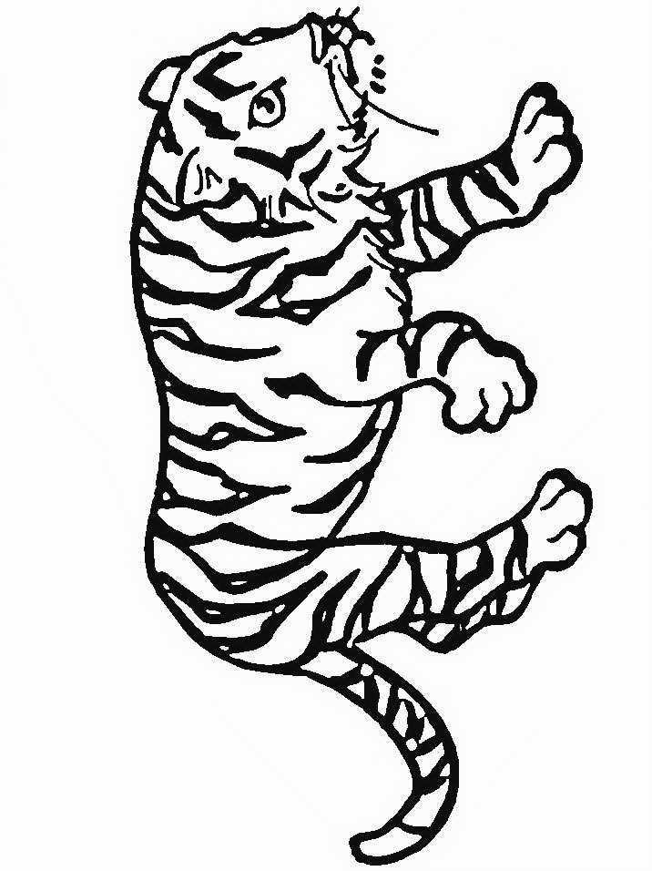Tiger coloring pages | Animal coloring pages | #15