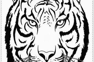 Tiger coloring pages | Animal coloring pages | #19