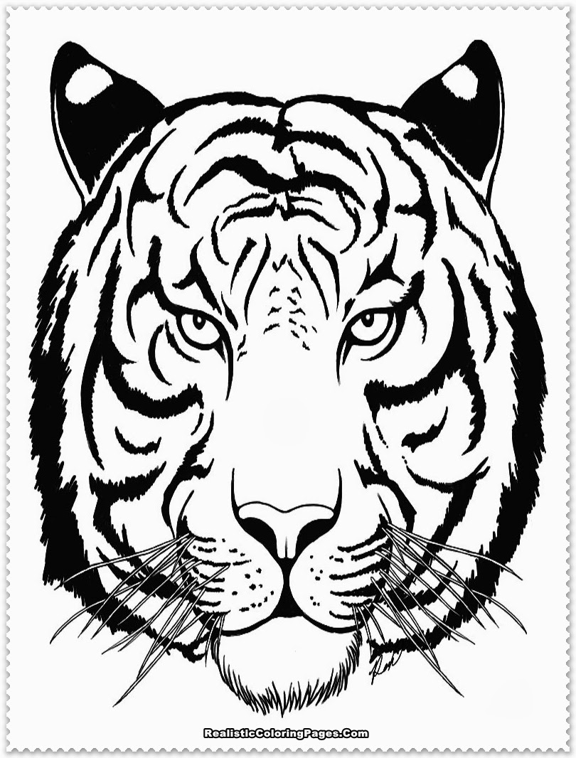  Tiger coloring pages | Animal coloring pages | #19