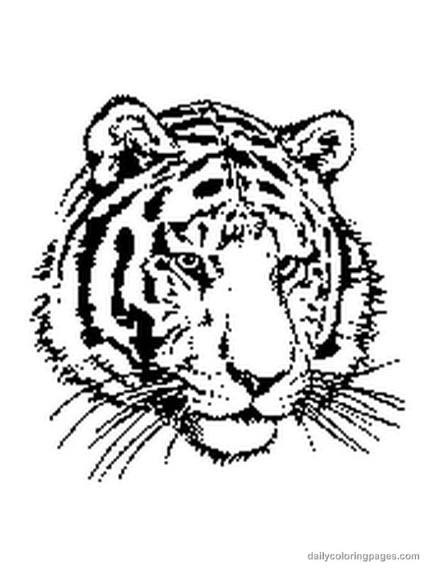  Tiger coloring pages | Animal coloring pages | #2