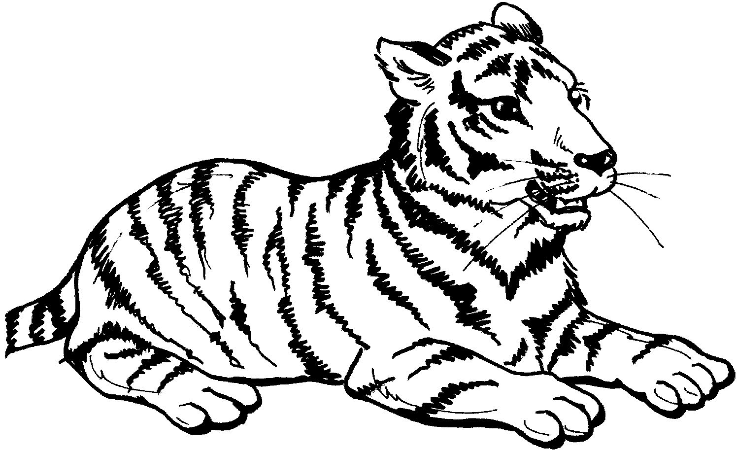 Tiger coloring pages | Animal coloring pages | #23