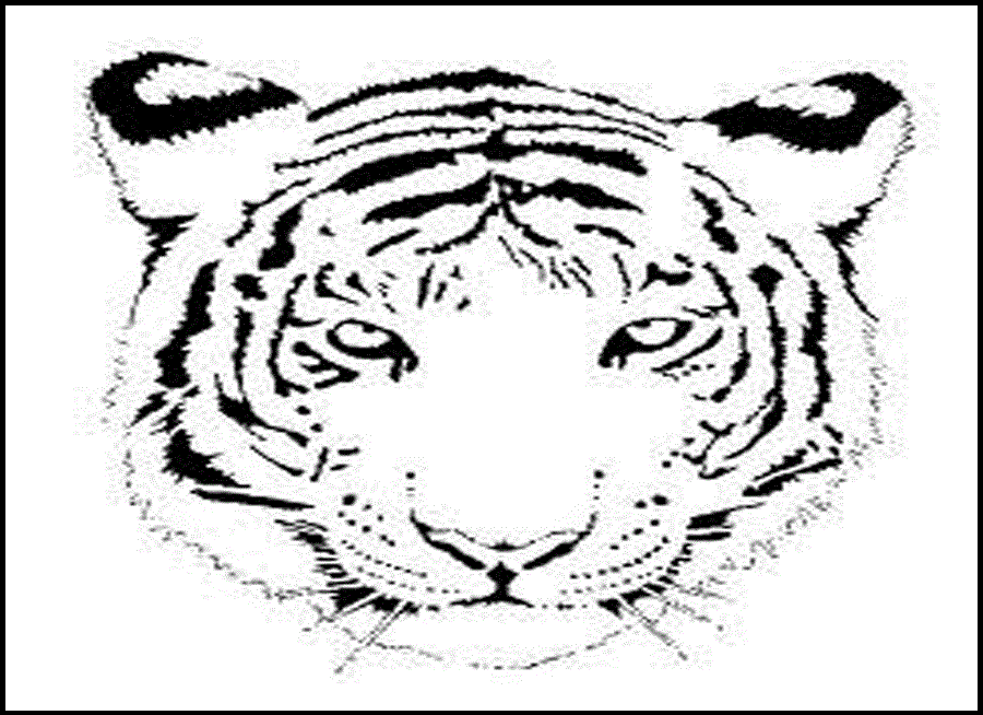 Tiger coloring pages | Animal coloring pages | #25