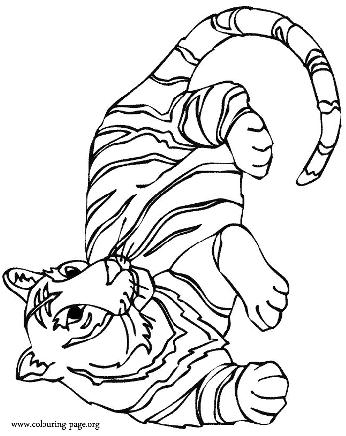 Tiger coloring pages | Animal coloring pages | #26
