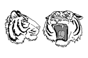 Tiger coloring pages | Animal coloring pages | #27