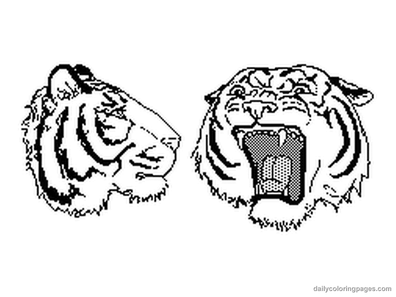  Tiger coloring pages | Animal coloring pages | #27