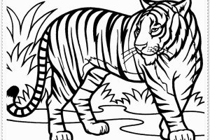 Tiger coloring pages | Animal coloring pages | #28